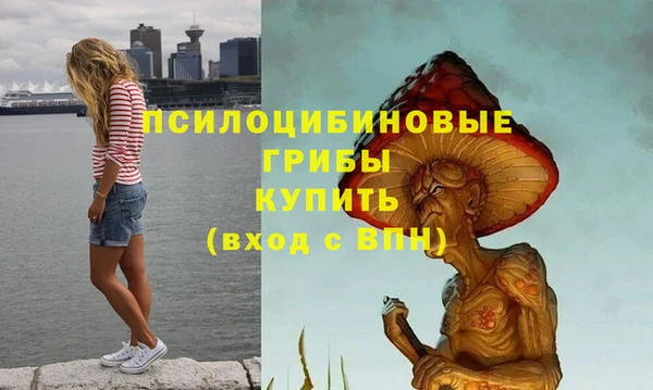 винт Арсеньев