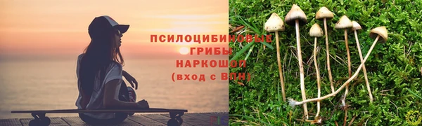винт Арсеньев