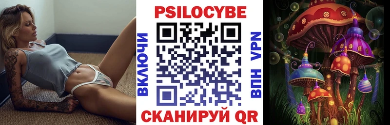 Псилоцибиновые грибы Psilocybe  купить  сайты  Новочебоксарск 